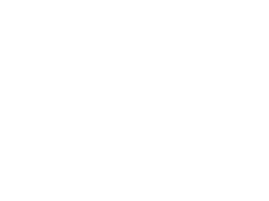 TeletonUSA Foundation  logo